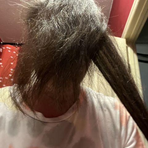 Pals For Hair, hair salon in Longview, WA